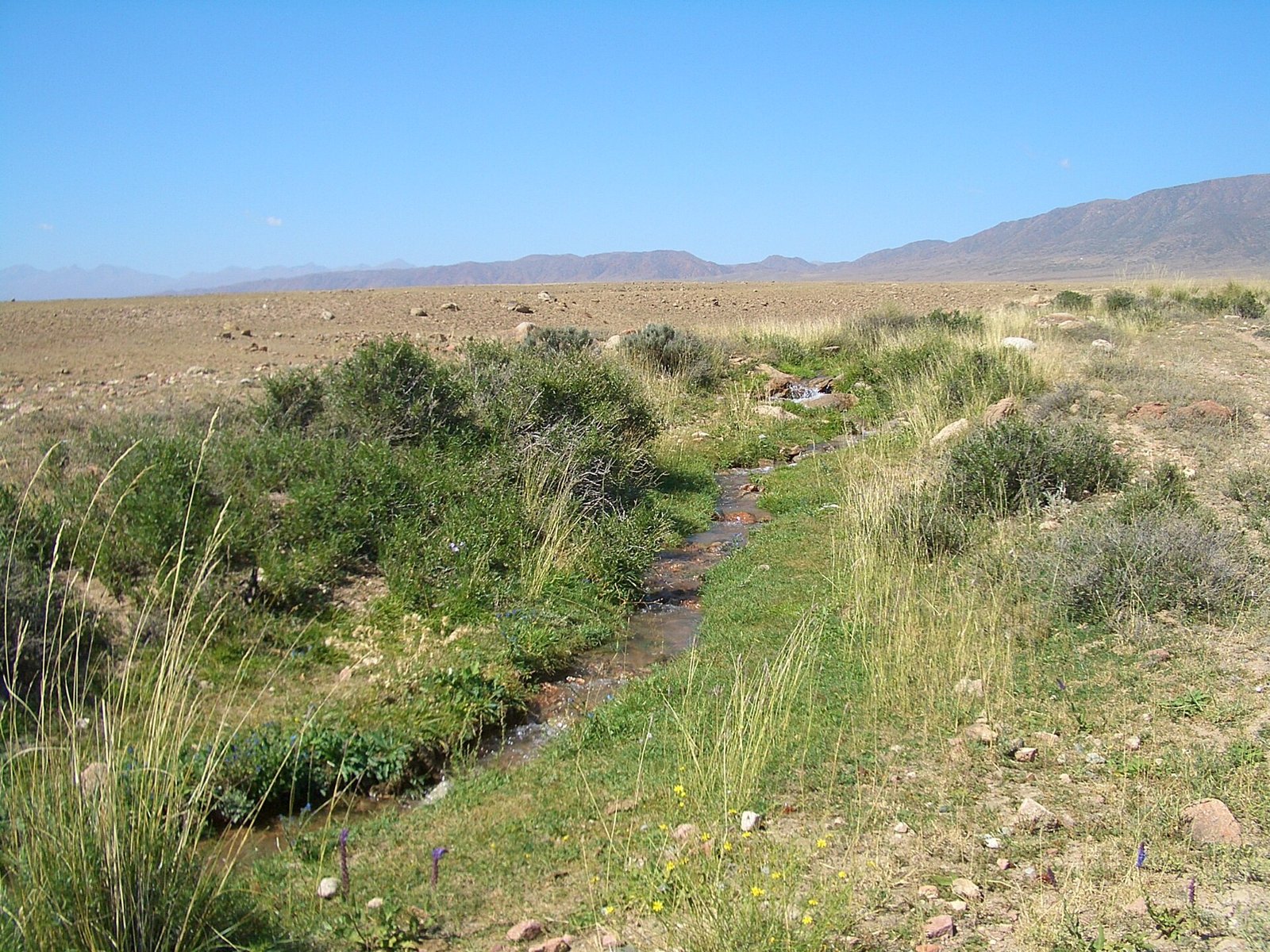 Ak-Balyk Creek