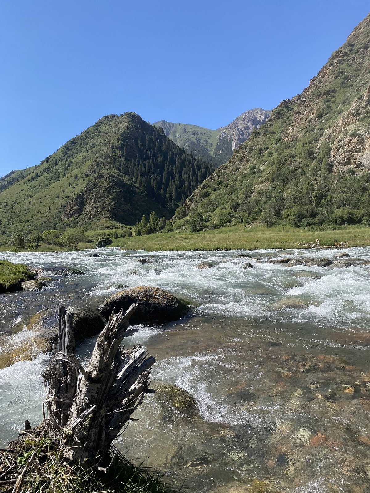 The Besh-Tash River in the upper valley