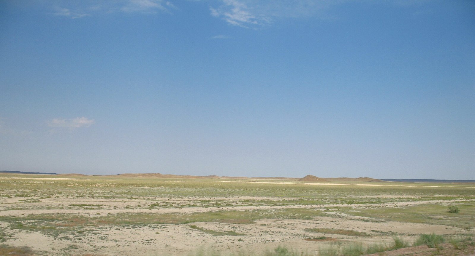 Betpack-Dala desert, near balkhash lake, Kazakhstan