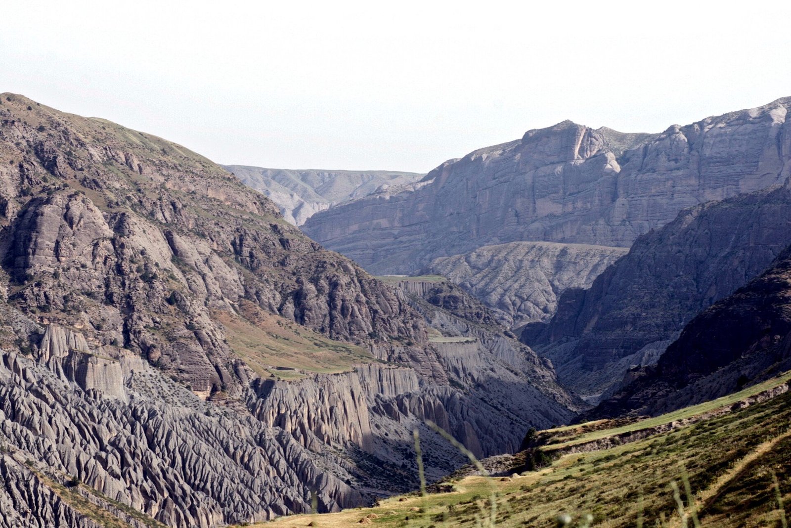 Kyrgyzstan, Turkestan Range, Batken area, Isfana distr., Sarkat riv., Dinau vic., 1600-1800 m, 03.7.2009