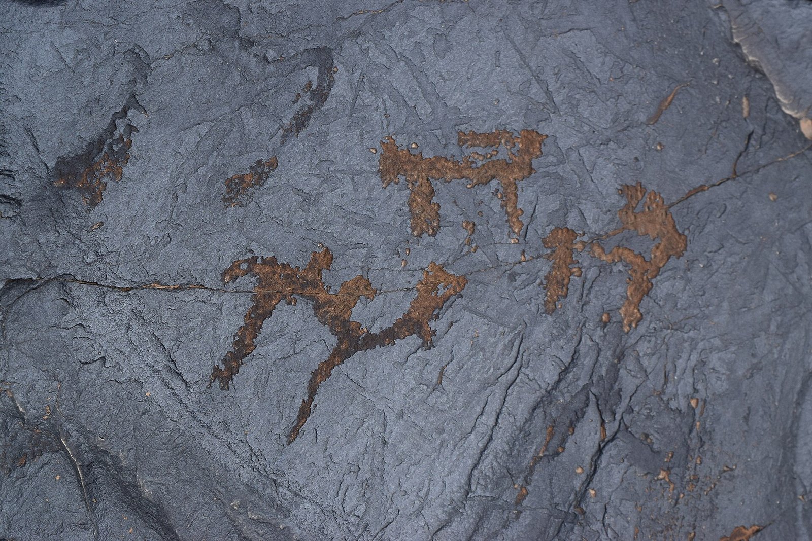 Petroglyph at the Saimaluu-Tash site