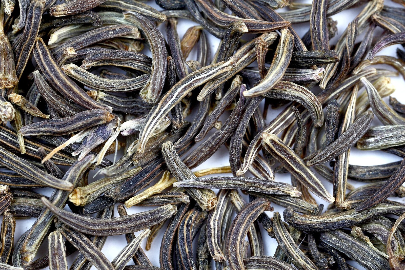 Seeds of black cumin